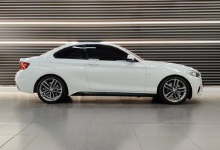 2016 BMW 2 Series 220i M SPORT A/T(F22) - photo 16