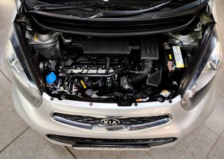 2016 Kia Picanto 1.2 EX - photo 16