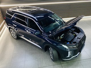 2024 Hyundai PALISADE 2.2D ELITE AWD A/T (8 SEAT) - photo 4