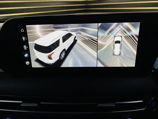 2024 Hyundai PALISADE 2.2D ELITE AWD A/T (8 SEAT) - photo 13