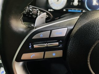 2024 Hyundai PALISADE 2.2D ELITE AWD A/T (8 SEAT) - photo 16