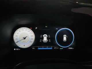 2024 Hyundai PALISADE 2.2D ELITE AWD A/T (8 SEAT) - photo 19
