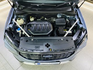2024 Ford Territory AMBIENTE 1.8L ECOBOOST A/T - photo 5