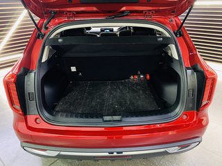 2024 Haval Jolion 1.5T LUXURY DCT - photo 9