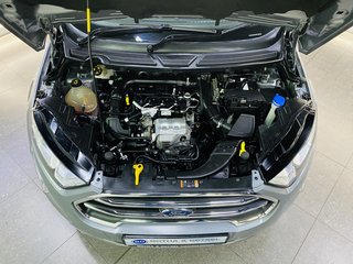 2023 Ford EcoSport 1.0 ECOBOOST TITANIUM A/T - photo 5