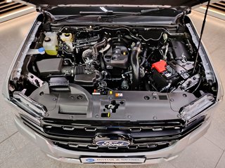 2026 Ford RANGER 2.0D SIT XLT A/T D/C P/U - photo 17