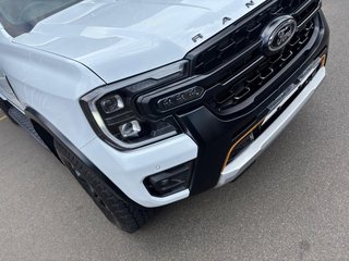 2025 Ford 2.0 Biturbo Double Cab Wildtrak X 4WD - photo 3