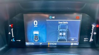 2024 Ford 2.0 Biturbo Double Cab Wildtrak - photo 7