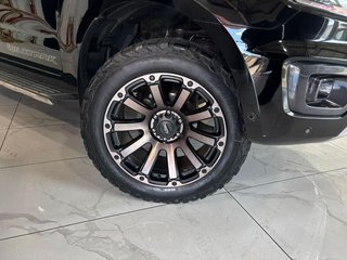 2021 Ford 2.0Bi-Turbo Double Cab Hi-Rider Wildtrak - photo 10