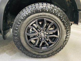 2023 Ford Ranger 3.0 V6 BI TURBO ECOBOOST RAPTOR 4X4 A/T - photo 8