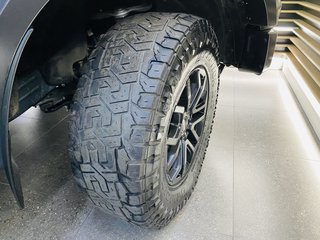 2023 Ford Ranger 3.0 V6 BI TURBO ECOBOOST RAPTOR 4X4 A/T - photo 9