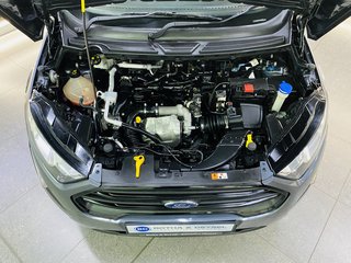 2020 Ford EcoSport 1.5TDCi AMBIENTE - photo 5
