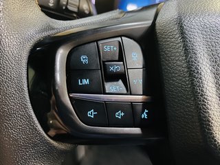 2024 Ford Ranger 3.0D V6 WILDTRAK AWD A/T D/C P/U - photo 19