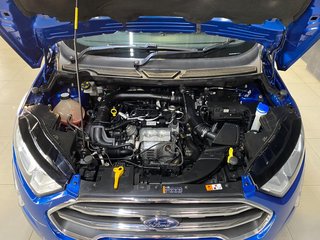 2020 Ford EcoSport 1.0 ECOBOOST TITANIUM - photo 10