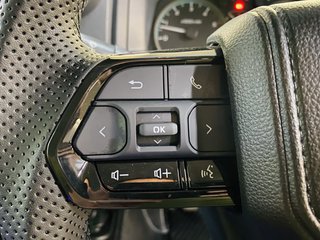 2022 Toyota Land Cruiser LAND CRUISER 79 4.5D 70TH ED P/U D/C - photo 13