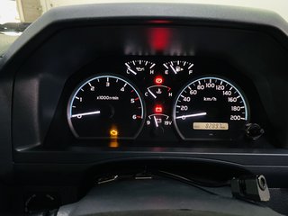 2022 Toyota Land Cruiser LAND CRUISER 79 4.5D 70TH ED P/U D/C - photo 16