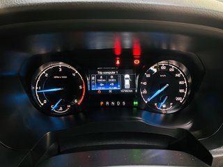 2022 Ford Ranger 2.2TDCI XLS A/T P/U SUP/CAB - photo 15